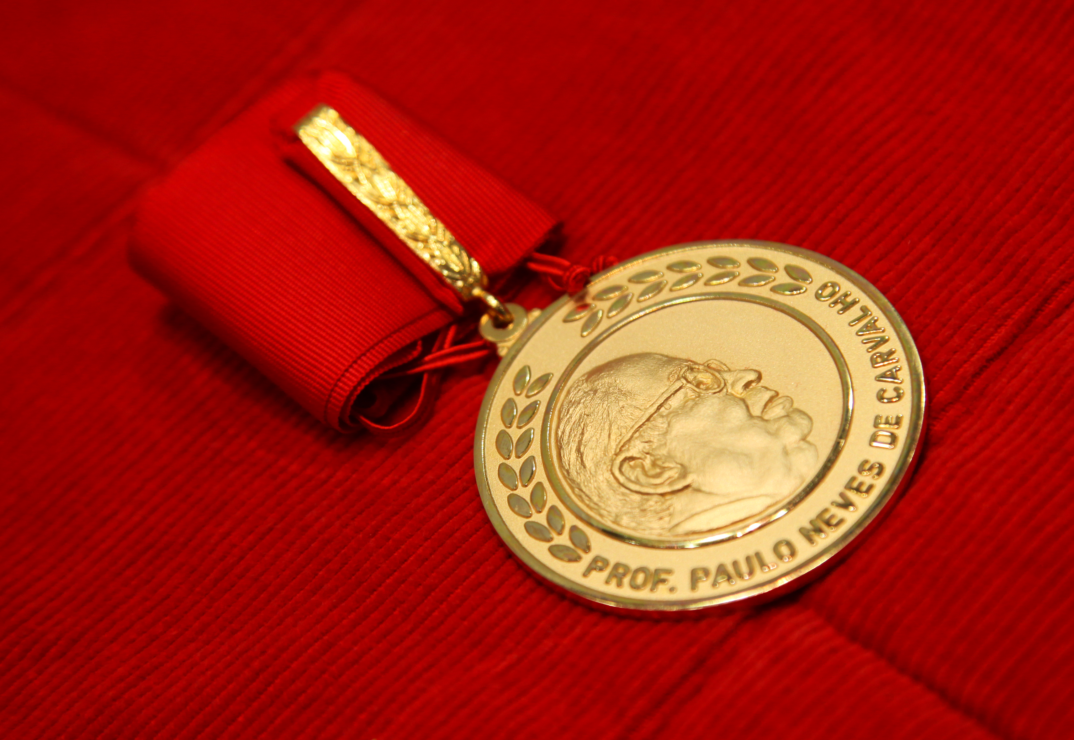 Medalha Paulo Neves de Carvalho